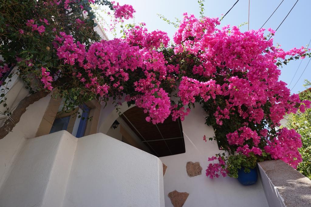Patmos Maria Studios Skala  Room photo
